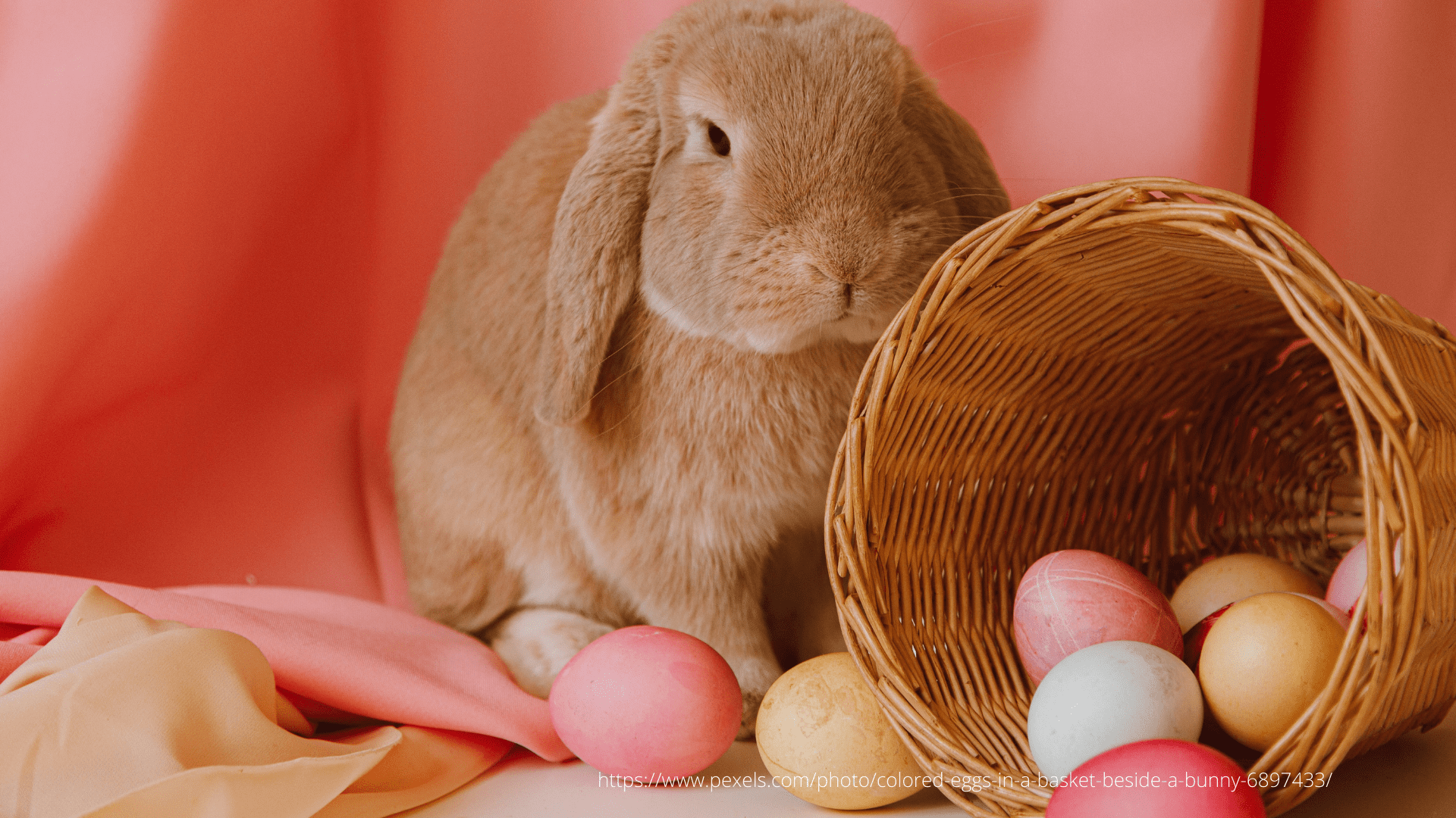 We wish a Happy Easter 2024